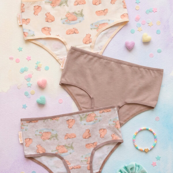 FRASHE KIDS 9016 PACK X3 BOMBACHAS DE NENA ESTAMPA KAPIBARA